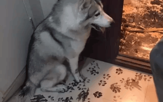 想知道装修不踩坑的秘密武器是什么吗